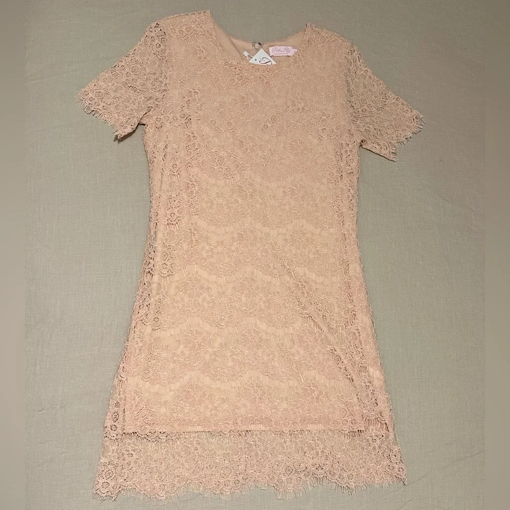 NWT Pink Lily Boutique Lace Sheath Dress, Size Medium - Picture 2 of 6